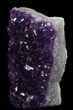Dark Purple Amethyst Cut Base Cluster - Uruguay #36644-2